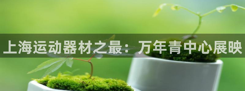 yy易游体育官方正版app娱乐是那个系列的台子：上海运动器材