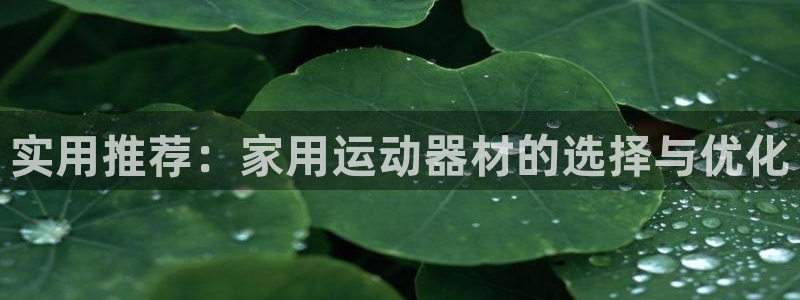 yy易游体育官方正版app代理：实用推荐：家用运动器材的选择