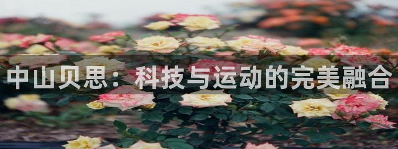 yy易游体育官方正版app娱乐40996：中山贝思：