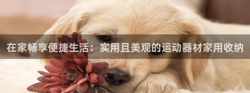 yy易游体育官网下载招商电话号码：在家畅享便捷生活：