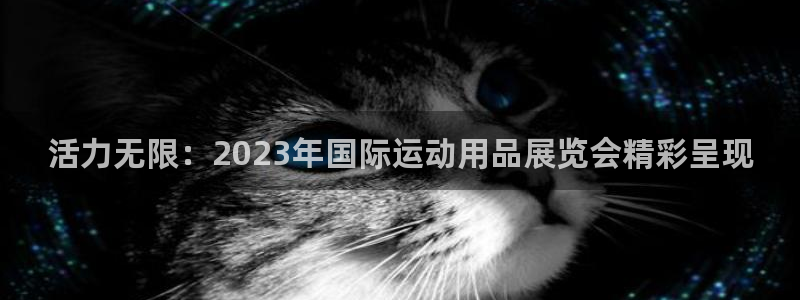 yy易游体育官网下载招商电话号码：活力无限：2023年国际运