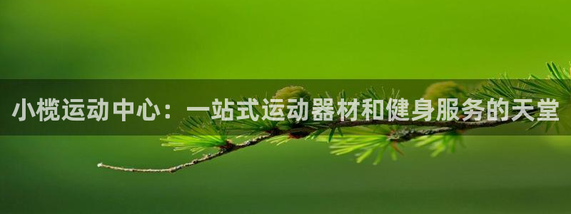 yy易游体育官方正版app集团简介：小榄运动中心：一