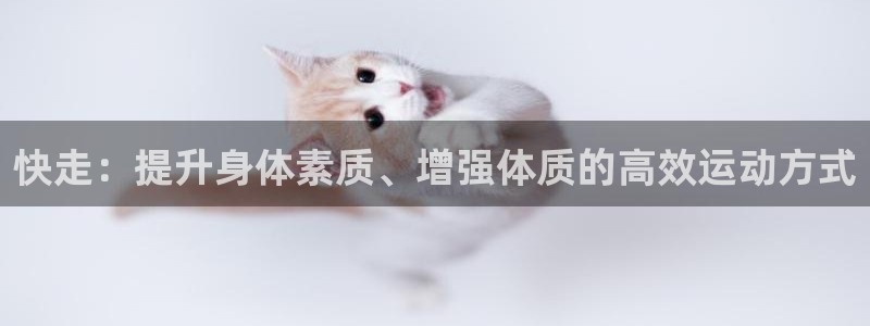 yy易游体育官网下载招商电话地址是多少