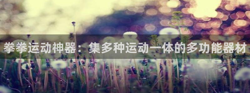 yy易游体育官网下载平台是正规平台吗安全吗：拳拳运动神器：集