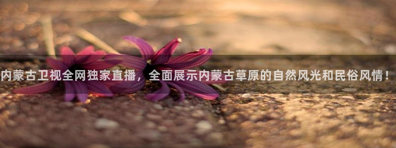雨燕无插件体育直播：内蒙古卫视全网独家直播，全面展示内蒙古草原的自然风光和民俗风情！