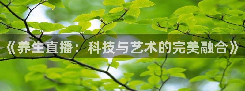 nba雨燕直播在线直播：《养生直播：科技与艺术的完美融合》