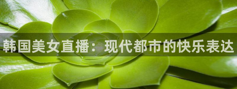 360直播雨燕：韩国美女直播：现代都市的快乐表达