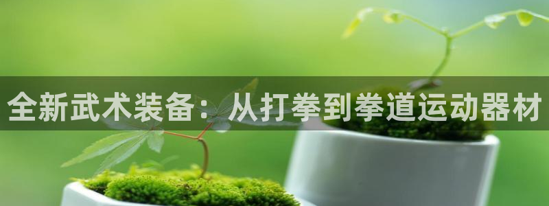 yy易游体育官方正版app集团官网首页网址：全新武术