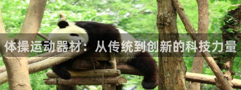 yy易游官方平台体育：体操运动器材：从传统到创新的科