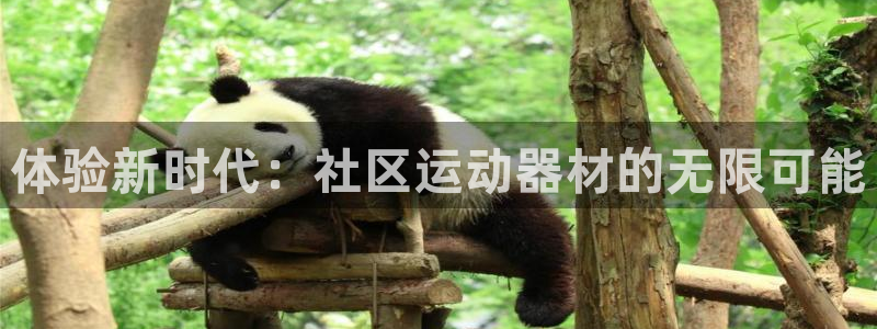 yy易游体育官网下载平台假的吗是真的吗吗：体验新时代：社区运