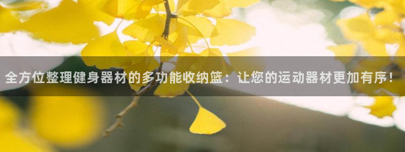 yy易游官方平台体育：全方位整理健身器材的多功能收纳篮：让您