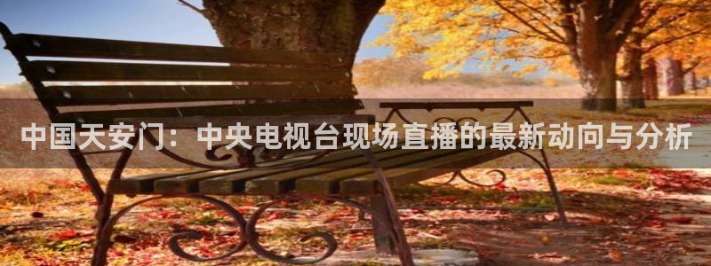 雨燕体育直播平台：中国天安门：中央电视台现场直播的最新动向与分析