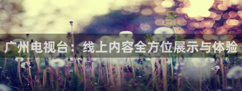 雨燕足球比赛直播网：广州电视台：线上内容全方位展示与体验