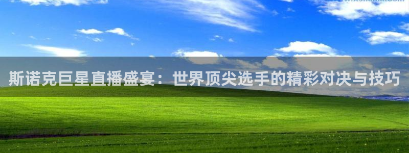 雨燕360体育直播在线观看：斯诺克巨星直播盛宴：世界顶尖选手的精彩对决与技巧