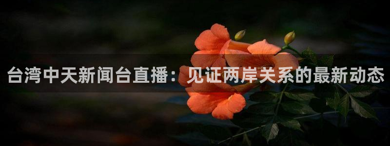 雨燕体育赛事在线直播：台湾中天新闻台直播：见证两岸关系的最新动态